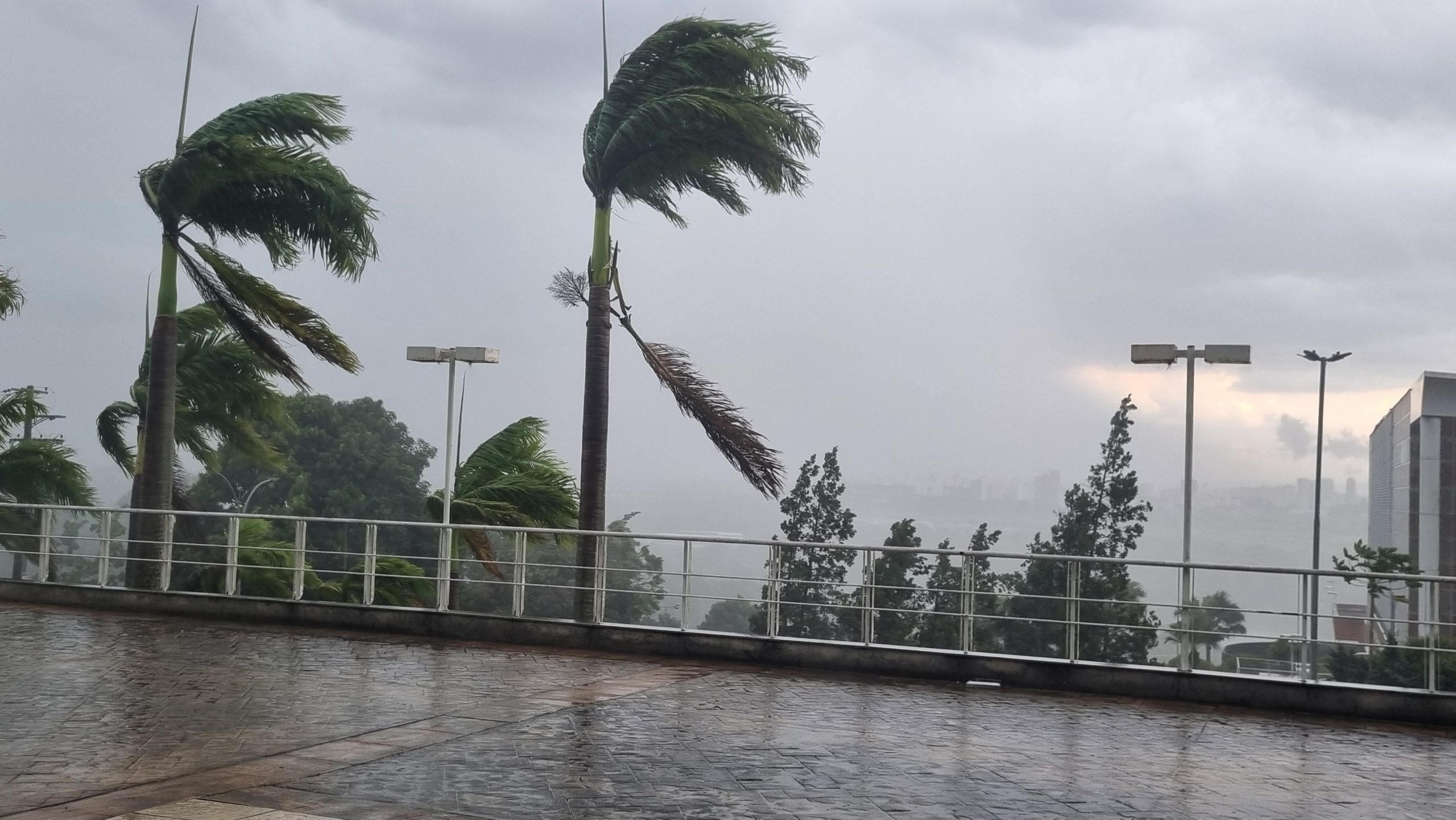 Temperaturas despencam no Vale do Paraíba e na Serra da Mantiqueira nos últimos dias de julho. Rajadas de vento podem chegar a 60 km/h