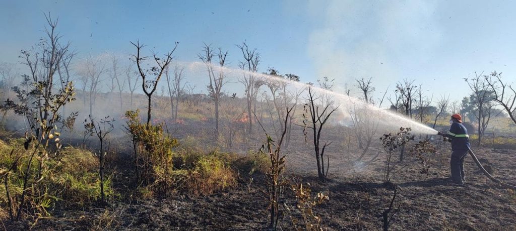 Queimada de grandes proporções atinge área de vegetação em Taubaté 1 Queimada de grandes proporções