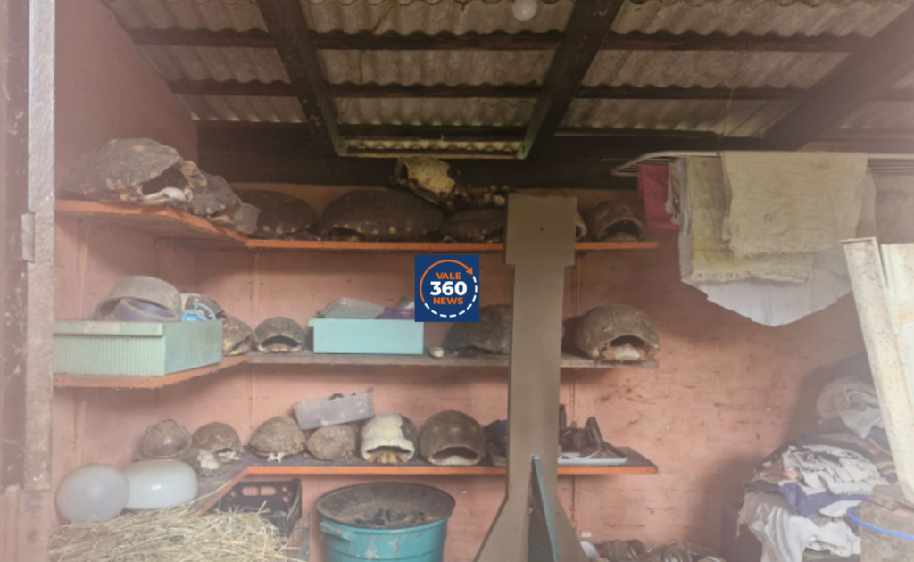 portao de casa 25