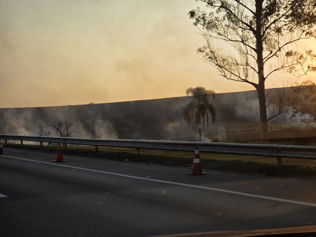 Ocorrências de fogo em mata no Vale do Paraíba mobilizam Bombeiros e Defesa Civil 1 fogo em mata no Vale do Paraíba