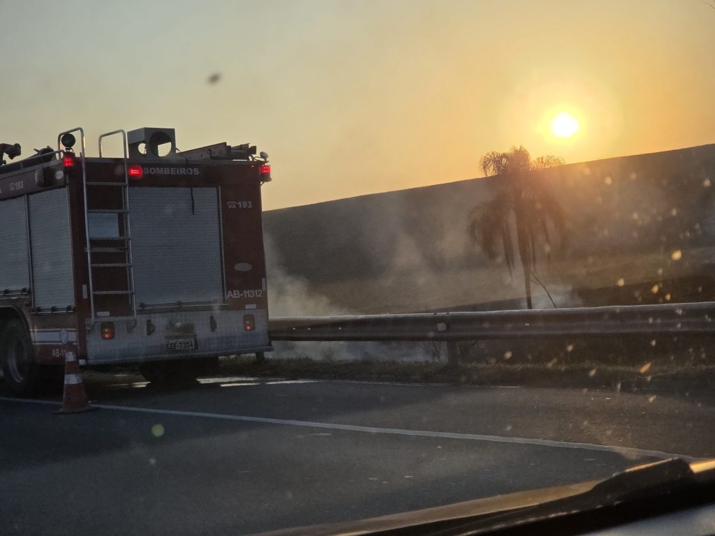 Ocorrências de fogo em mata no Vale do Paraíba mobilizam Bombeiros e Defesa Civil 2 fogo em mata no Vale do Paraíba