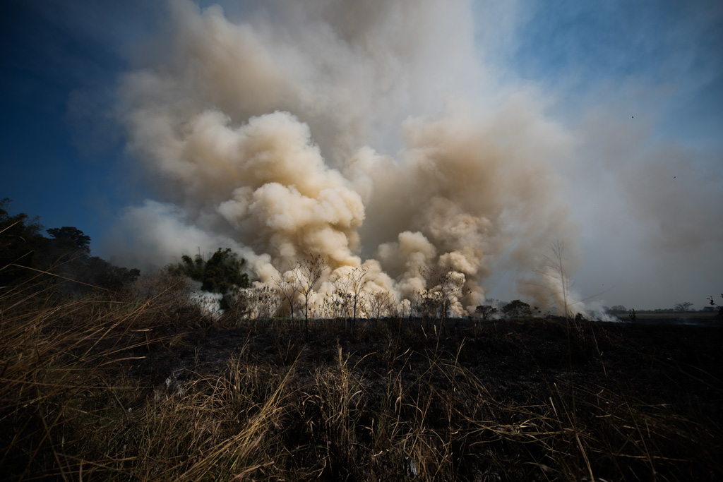 Moradores ajudam a combater incêndio de grandes proporções em Fazenda de Taubaté