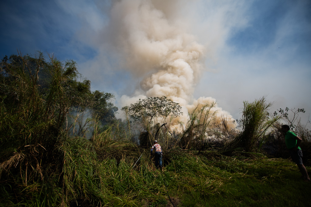 Moradores ajudam a combater incêndio de grandes proporções em Fazenda de Taubaté 1 Fazenda de Taubaté