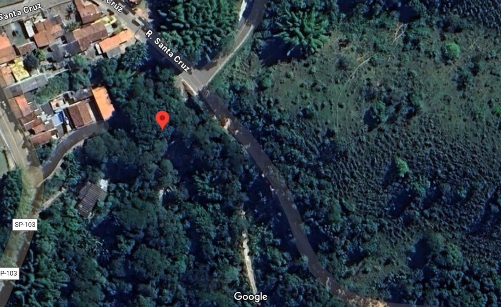 Vereadores denunciam corte de árvores e crime ambiental em Jambeiro 1 crime ambiental em Jambeiro