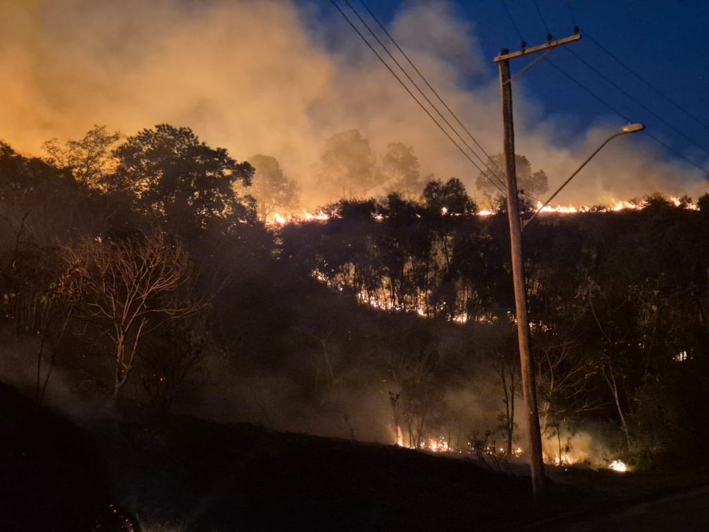Ocorrências de fogo em mata no Vale do Paraíba mobilizam Bombeiros e Defesa Civil 4 fogo em mata no Vale do Paraíba