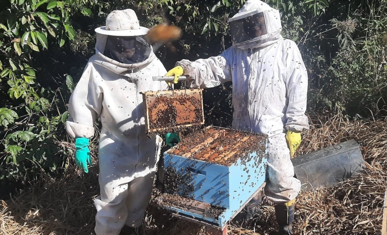 Mel do Vale do Paraíba ganha reconhecimento que vai beneficiar produtores das 39 cidades da região