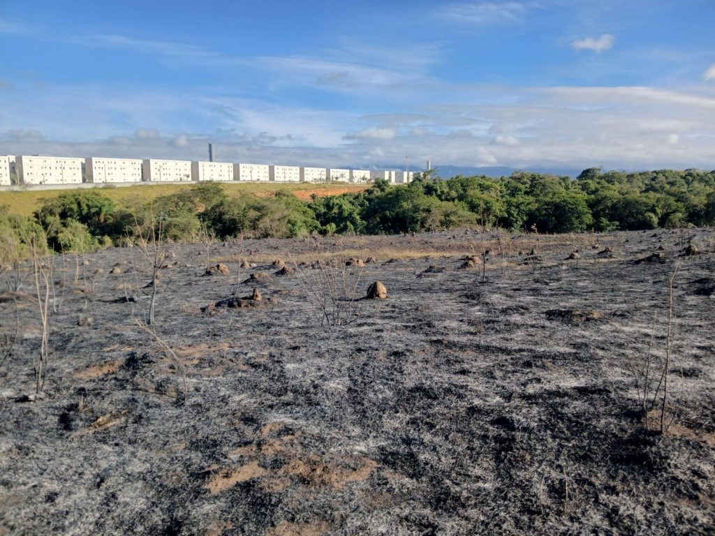 Defesa Civil monitora área de 100 mil metros quadrados de vegetação queimada em Taubaté 1 queimada em Taubaté