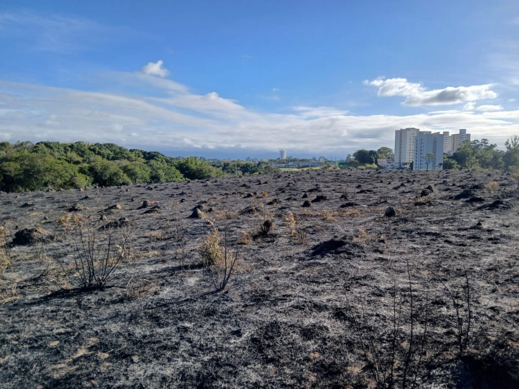 Defesa Civil monitora área de 100 mil metros quadrados de vegetação queimada em Taubaté 2 queimada em Taubaté