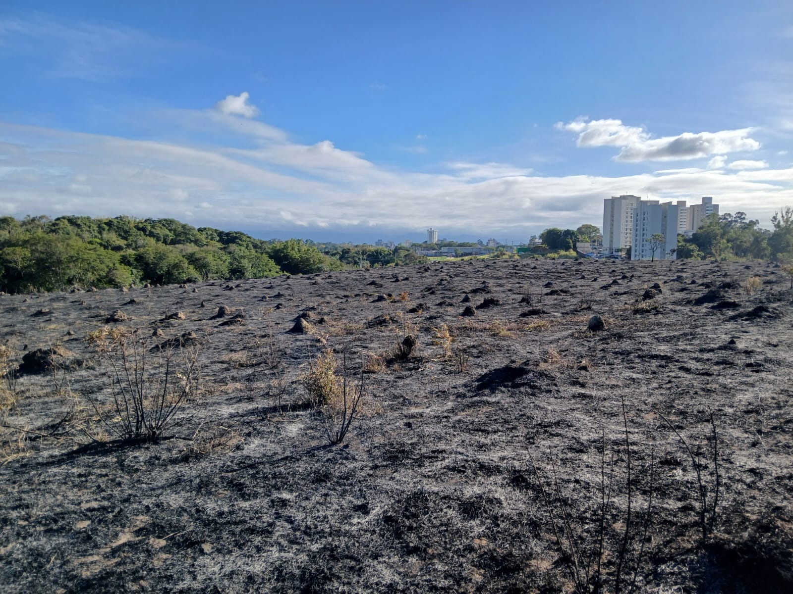Defesa Civil monitora área de 100 mil metros quadrados de vegetação queimada em Taubaté