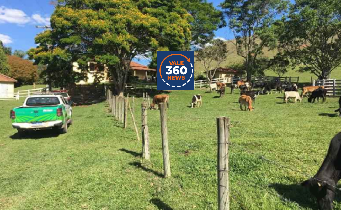 Polícia Civil apura denúncia de maus-tratos a gado em ONG de Cunha, depois de encontrar dois animais mortos