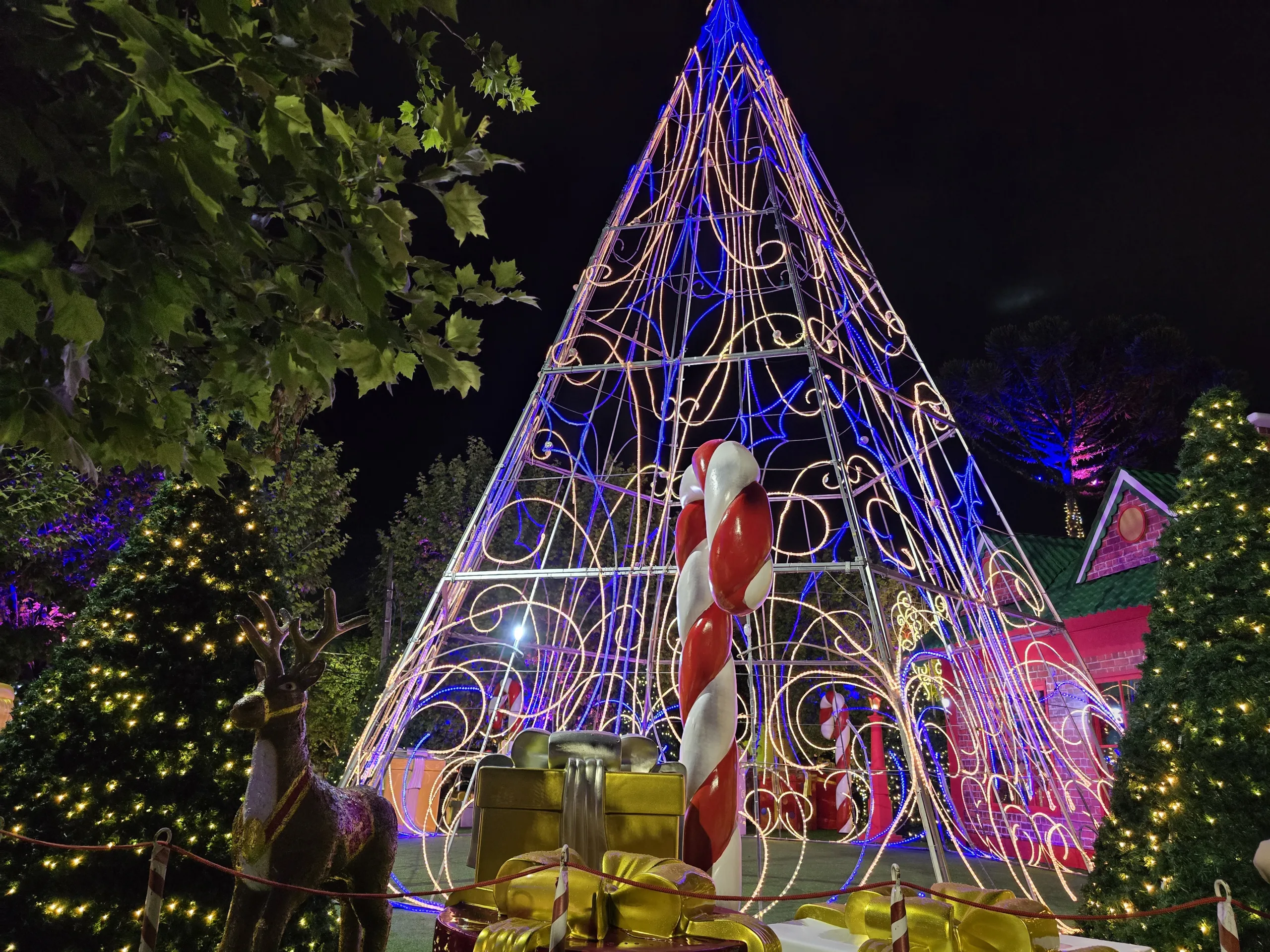 Roteiro de Natal em Campos do Jordão: guia completo para curtir a cidade iluminada