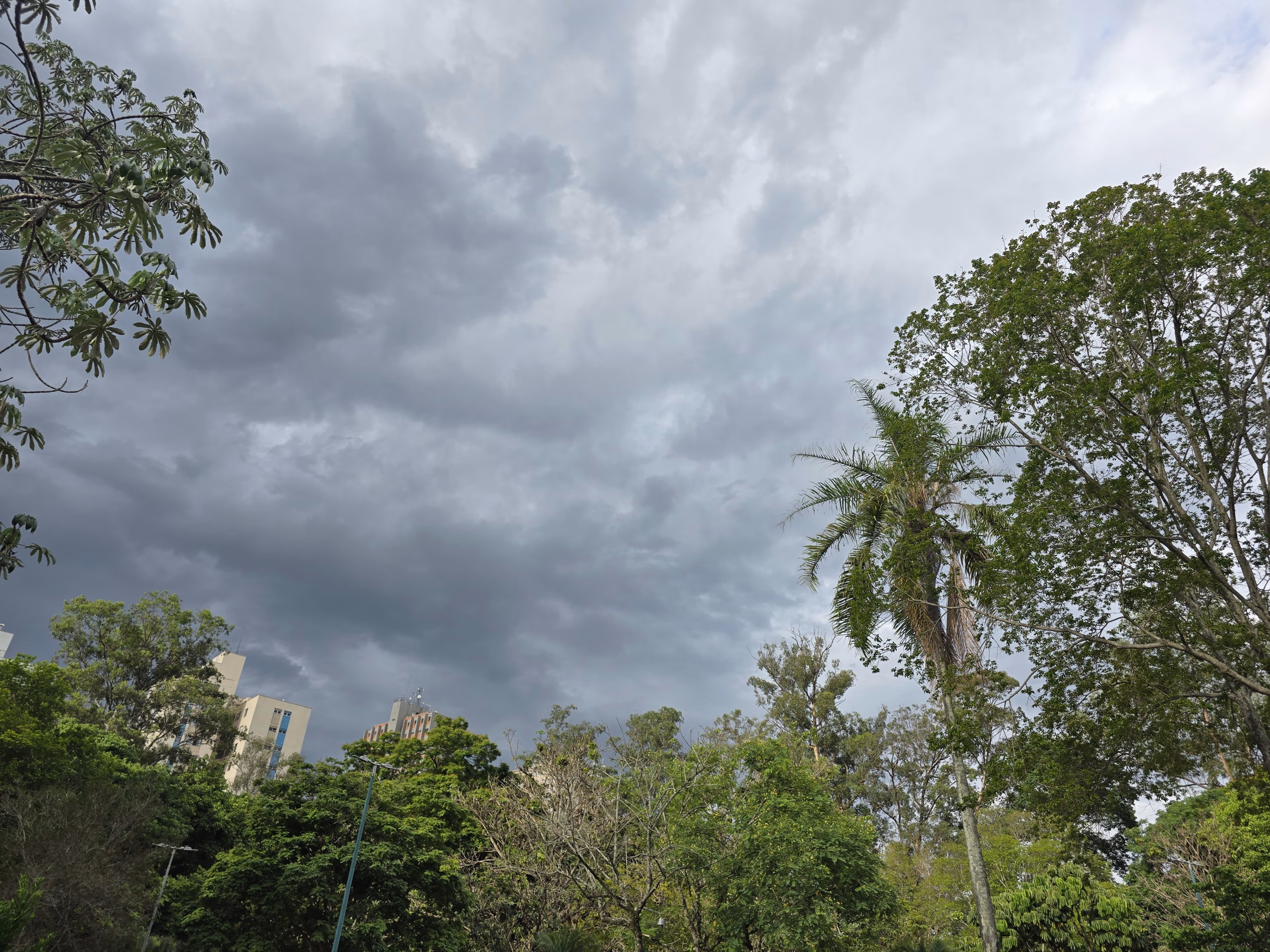 Vale do Paraíba, Litoral Norte e Serra da Mantiqueira estão na rota dos temporais mais fortes, alerta Defesa Civil