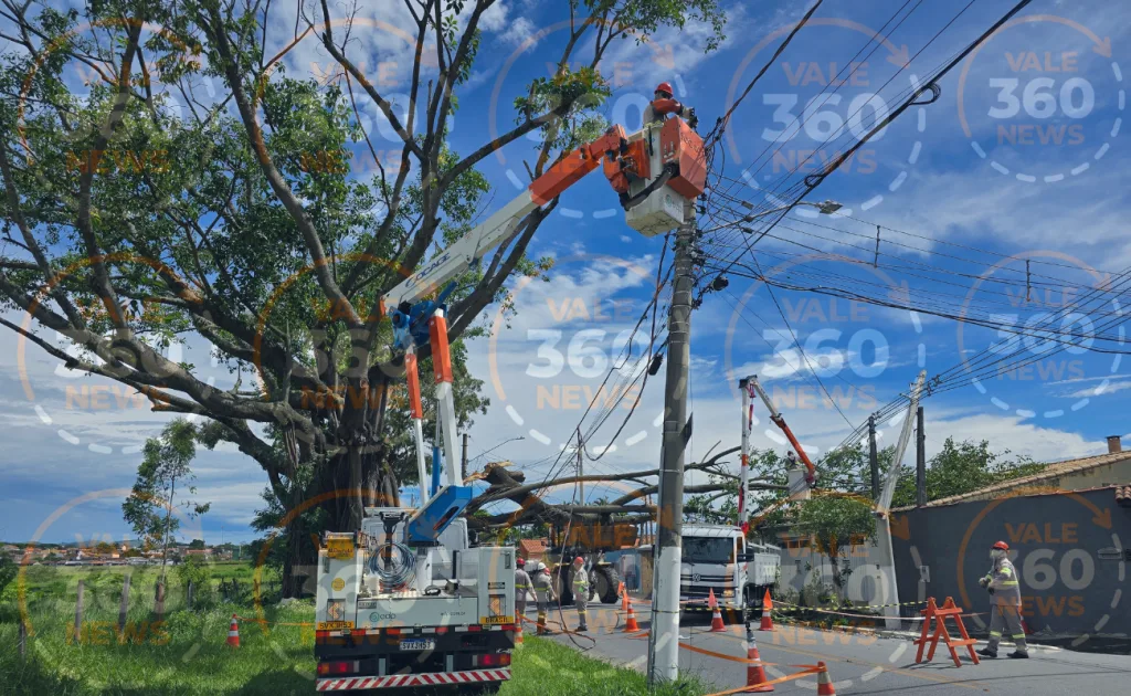 Tronco de grande porte de árvore centenária quebra postes, arrasta fiação e cai sobre casas em Caçapava 7 árvore centenária