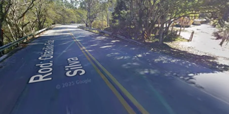 Motociclista morre após acidente com boi em rodovia