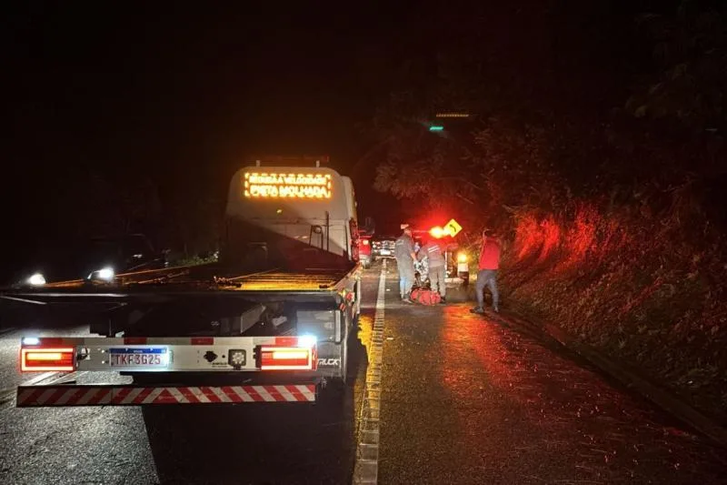 Chuvas em Campos do Jordão: árvore cai sobre carro na SP-123, motociclista bate e fica ferido