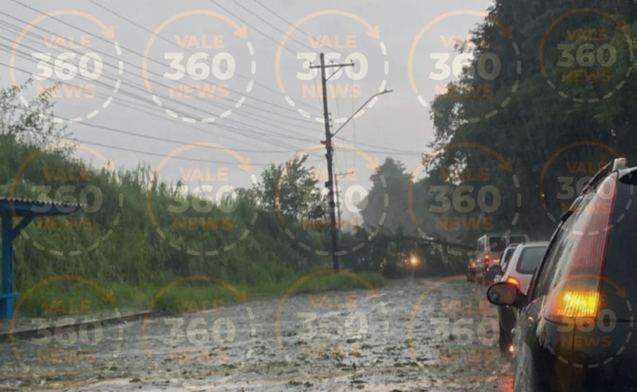 Prefeitura de Sao Jose dos Campos divulga regras para bicicleta eletrica c 20260127 181659 0000