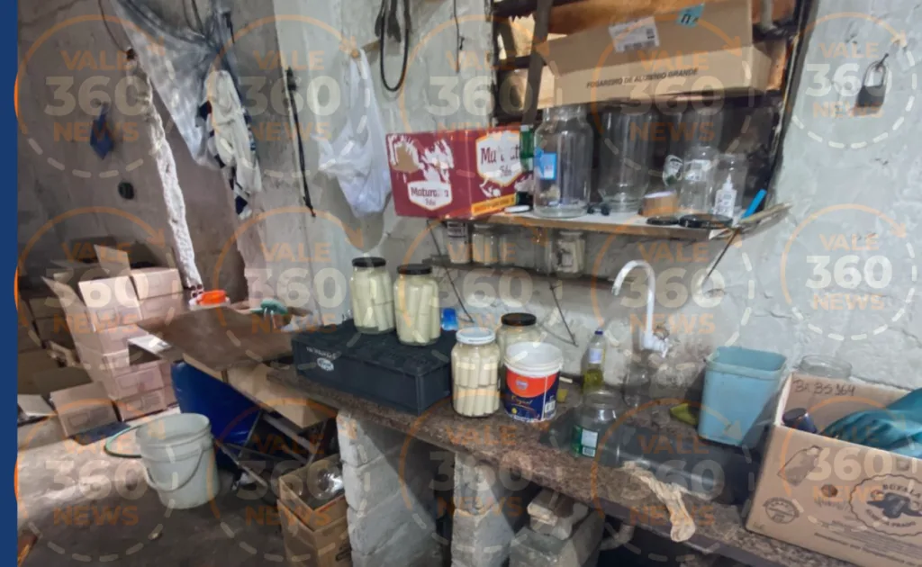 DIG de Jacareí fecha fábrica clandestina de palmito e apreende meia tonelada do produto 5 Jacareí, DIG de Jacareí, Polícia Civil, Rua Tupari, Igarapés, zona rural, palmito, vigilância sanitária, crime ambiental, crime contra a saúde pública, falsificação, apreensão, Vale do Paraíba