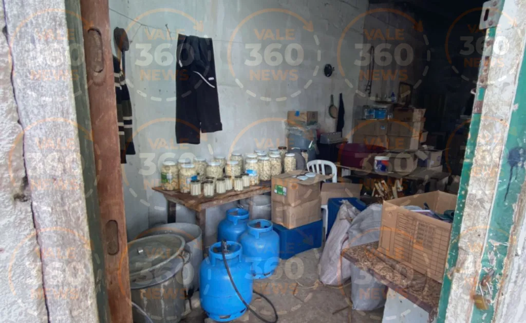 DIG de Jacareí fecha fábrica clandestina de palmito e apreende meia tonelada do produto 4 Jacareí, DIG de Jacareí, Polícia Civil, Rua Tupari, Igarapés, zona rural, palmito, vigilância sanitária, crime ambiental, crime contra a saúde pública, falsificação, apreensão, Vale do Paraíba