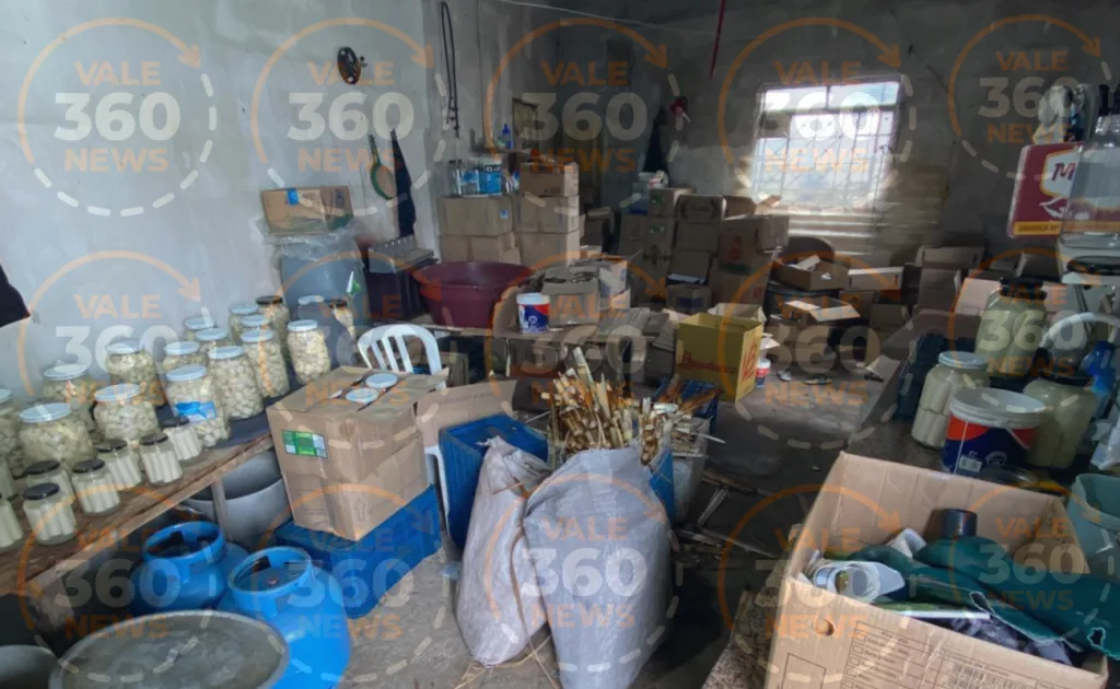 DIG de Jacareí fecha fábrica clandestina de palmito e apreende meia tonelada do produto 2 Jacareí, DIG de Jacareí, Polícia Civil, Rua Tupari, Igarapés, zona rural, palmito, vigilância sanitária, crime ambiental, crime contra a saúde pública, falsificação, apreensão, Vale do Paraíba