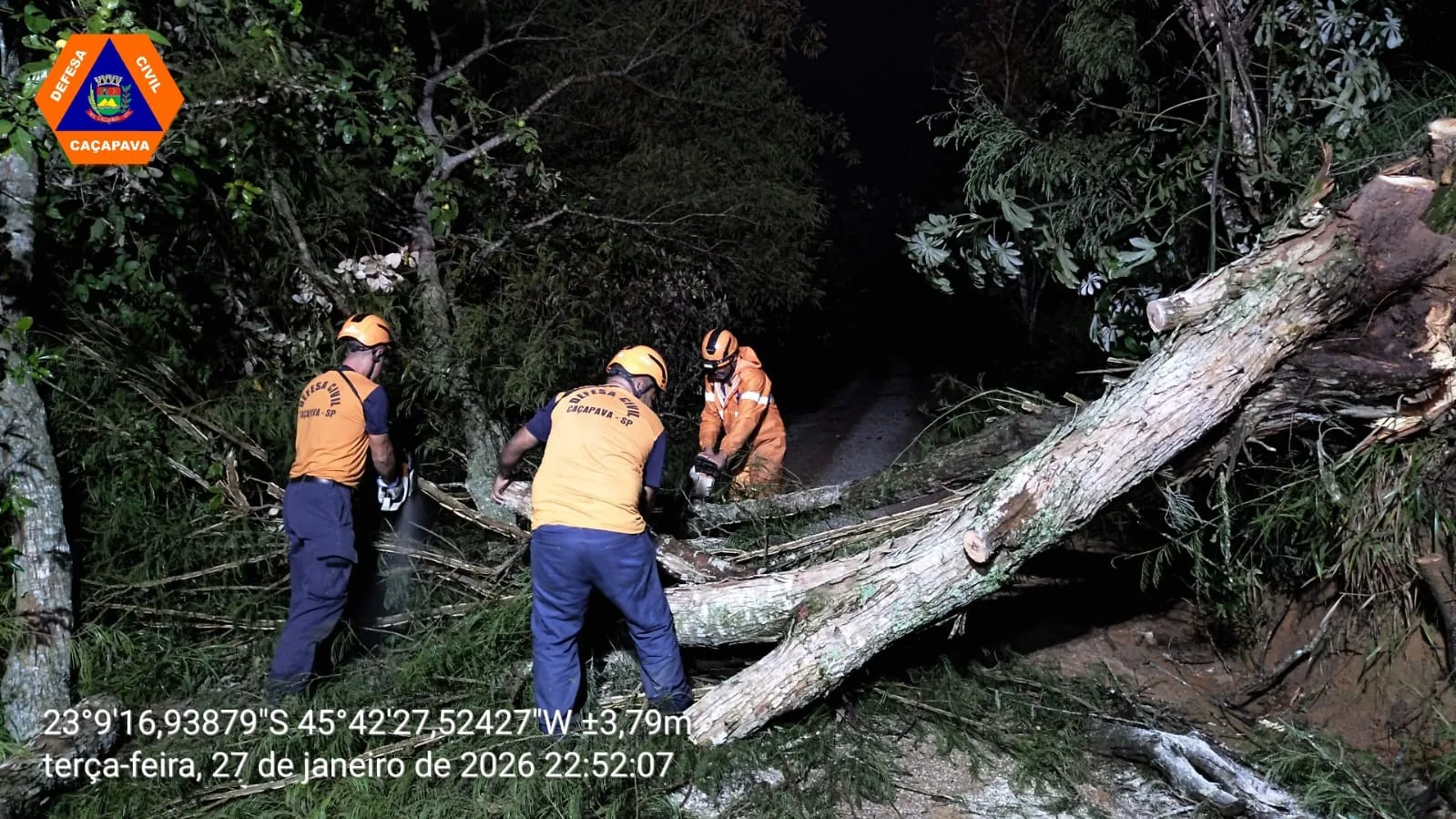 Balanço aponta que pelo menos sete árvores caíram em Caçapava por causa do temporal