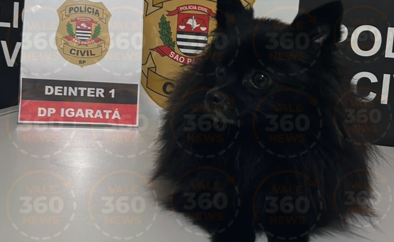 Polícia de Igaratá recupera cão Spitz Alemão e devolve animal à criança de 5 anos