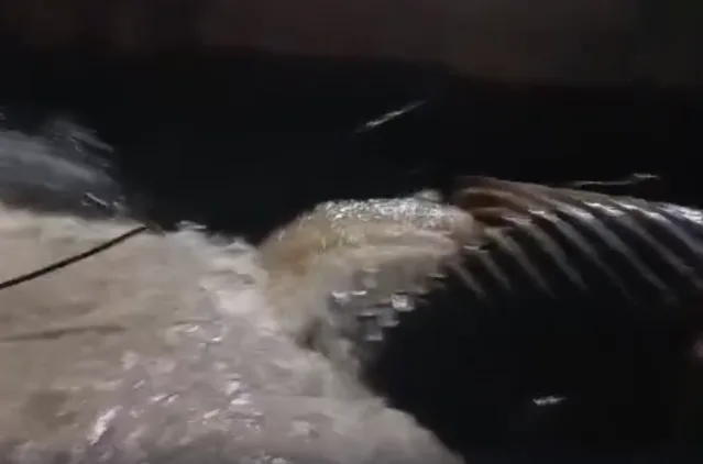 Ponte arrastada destrói rede da Sabesp e afeta 11 bairros em Caçapava