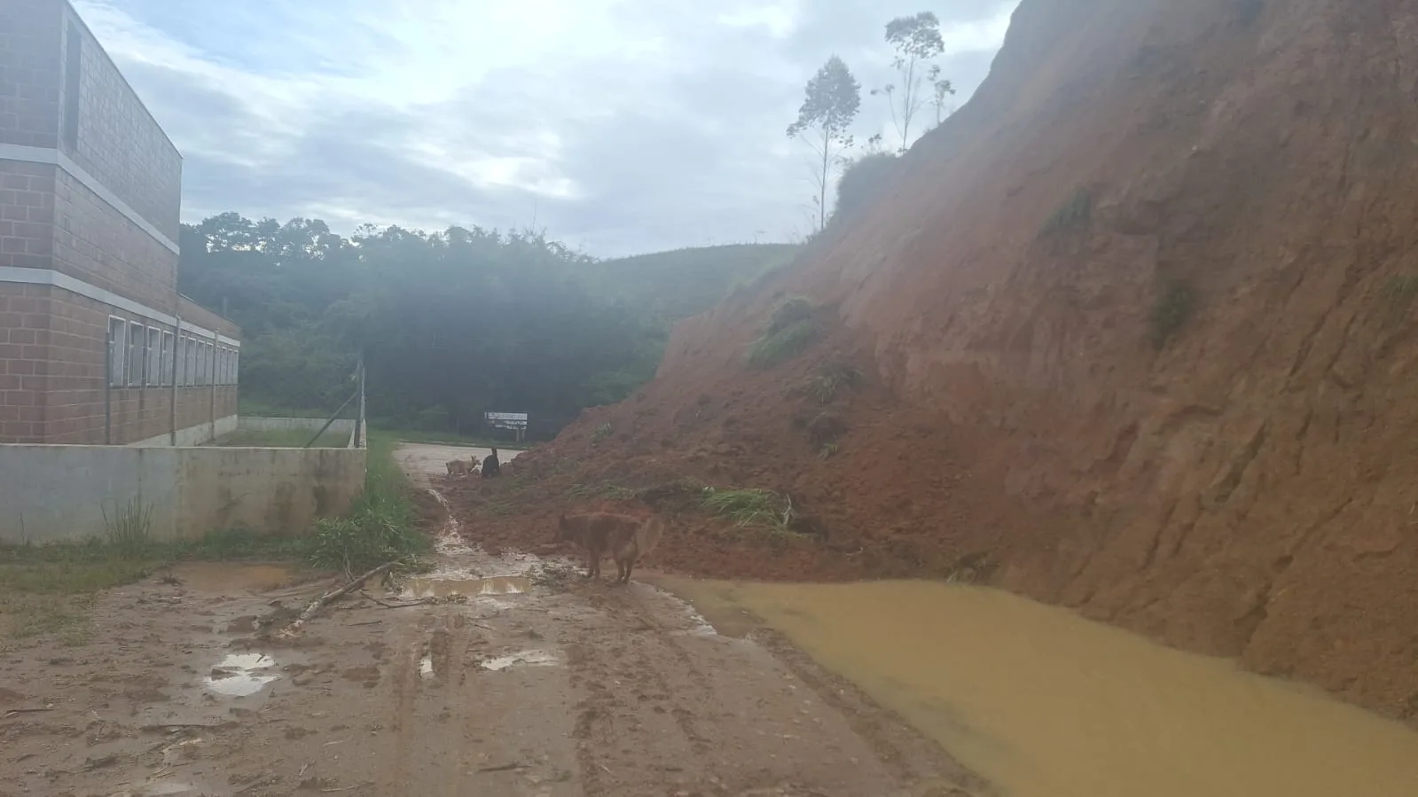 Prefeitura vai decretar emergência em Natividade da Serra após chuvas somarem 340 mm no fim de semana. Há pessoas ilhadas