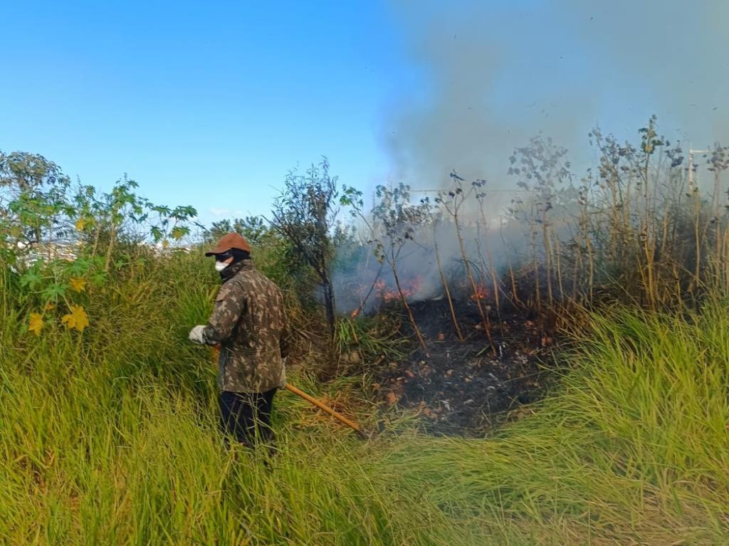 Defesa Civil combate queimada em área de 50 mil metros quadrados em Taubaté