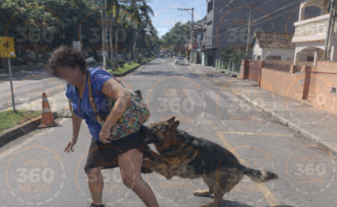 Cão volta a atacar mulher no Centro de Paraibuna
