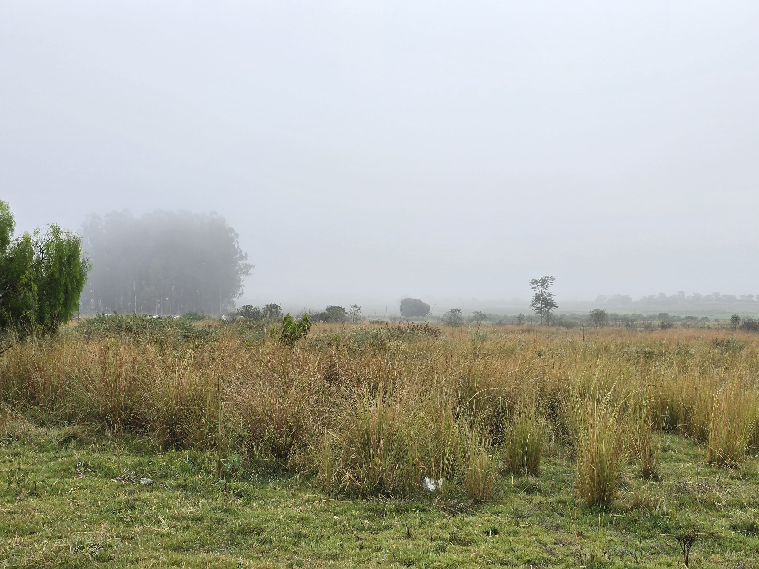 Frente fria no Vale do Paraíba e Litoral Norte
