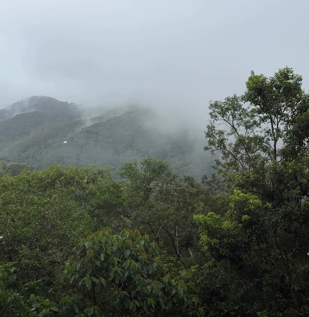 Frio em Campos do Jordão