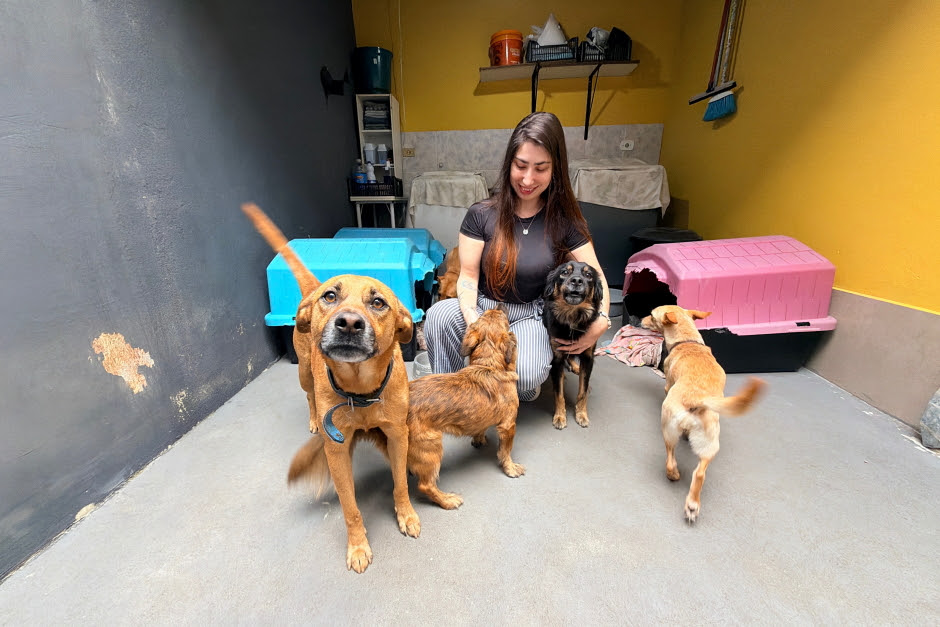 Meu Pet Feliz São José dos Campos tem mil vagas para castração gratuita