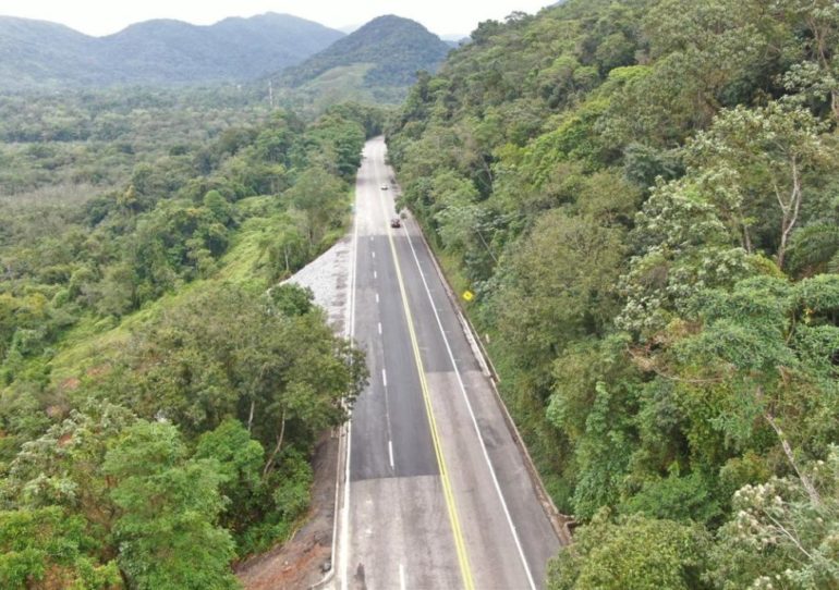 Quedas de árvores interditam Rio-Santos
