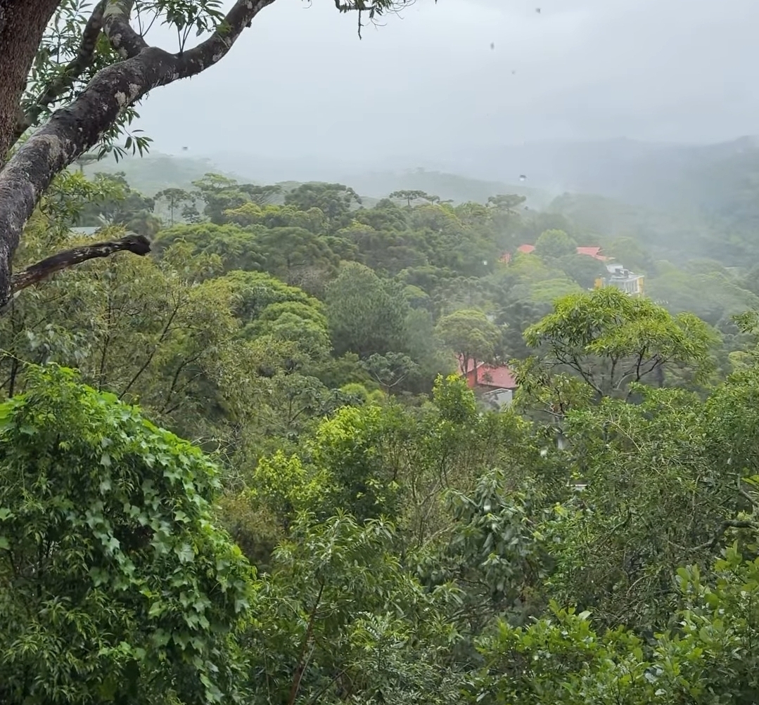 frio de 4°C na Serra da Mantiqueira