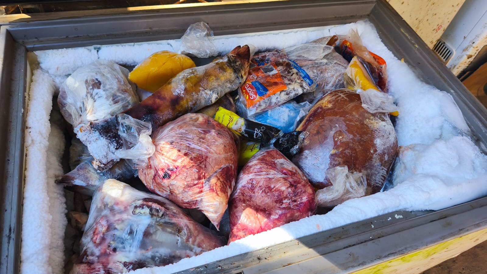 carne em condições insalubres em Jacareí