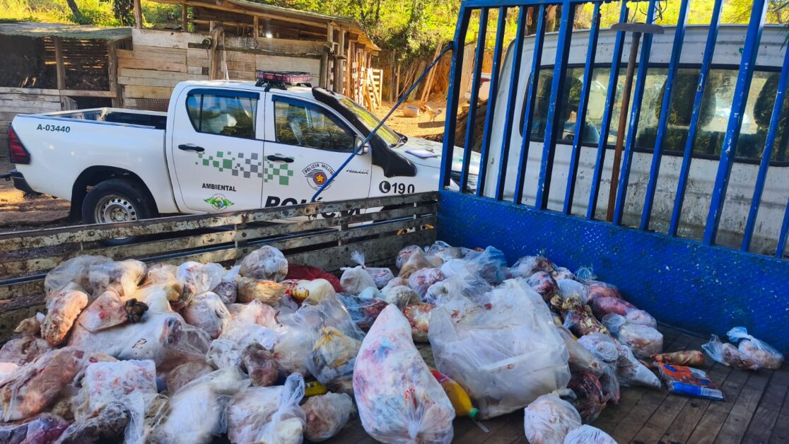 Polícia Ambiental apreende 800 kg de carne em condições insalubres em Jacareí e prende homem na zona rural 1 carne em condições insalubres em Jacareí