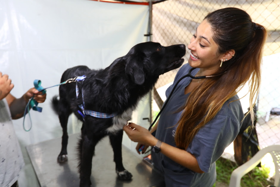 novas vagas do Meu Pet Feliz em São José dos Campos