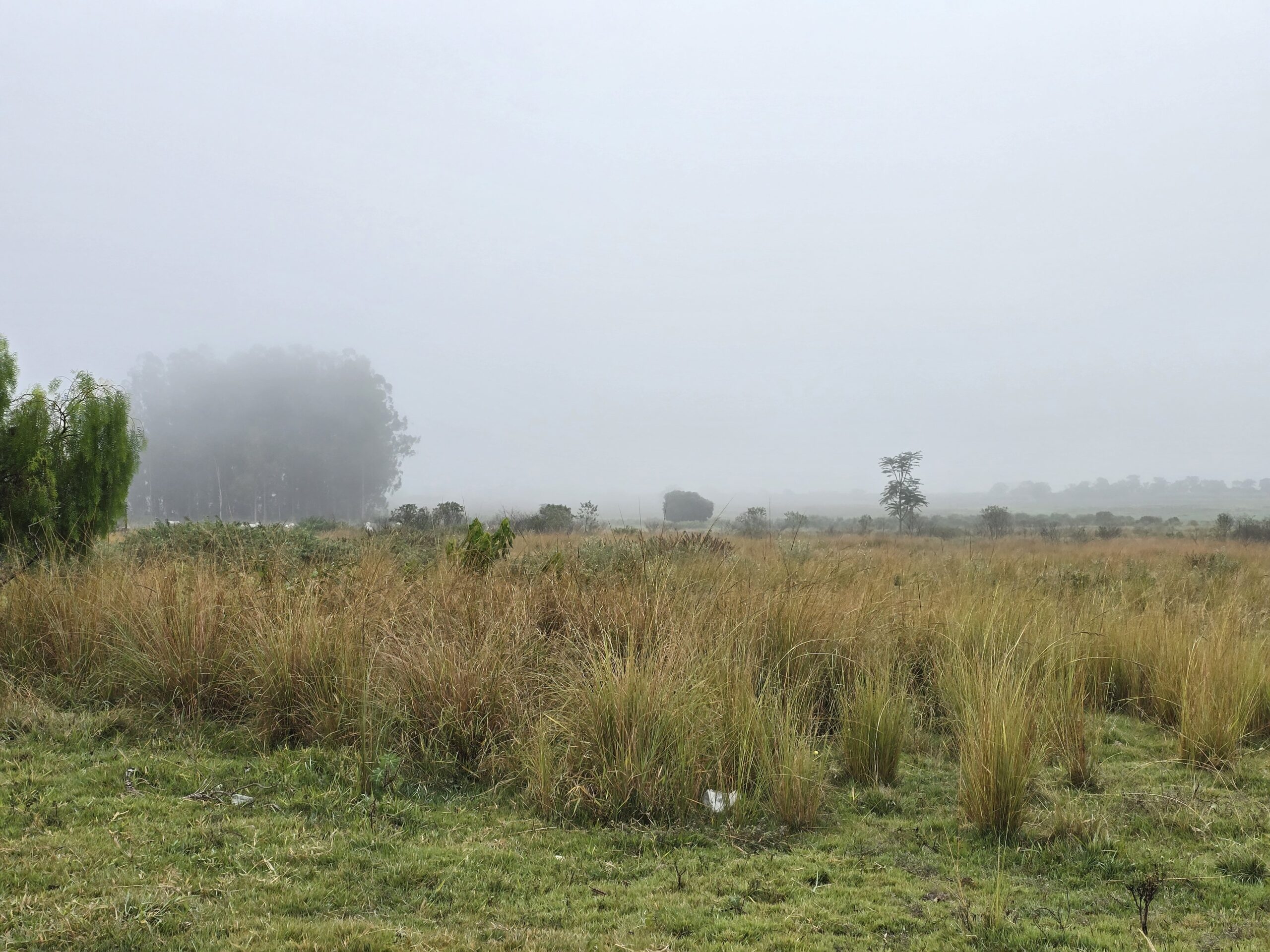 forte queda de temperatura