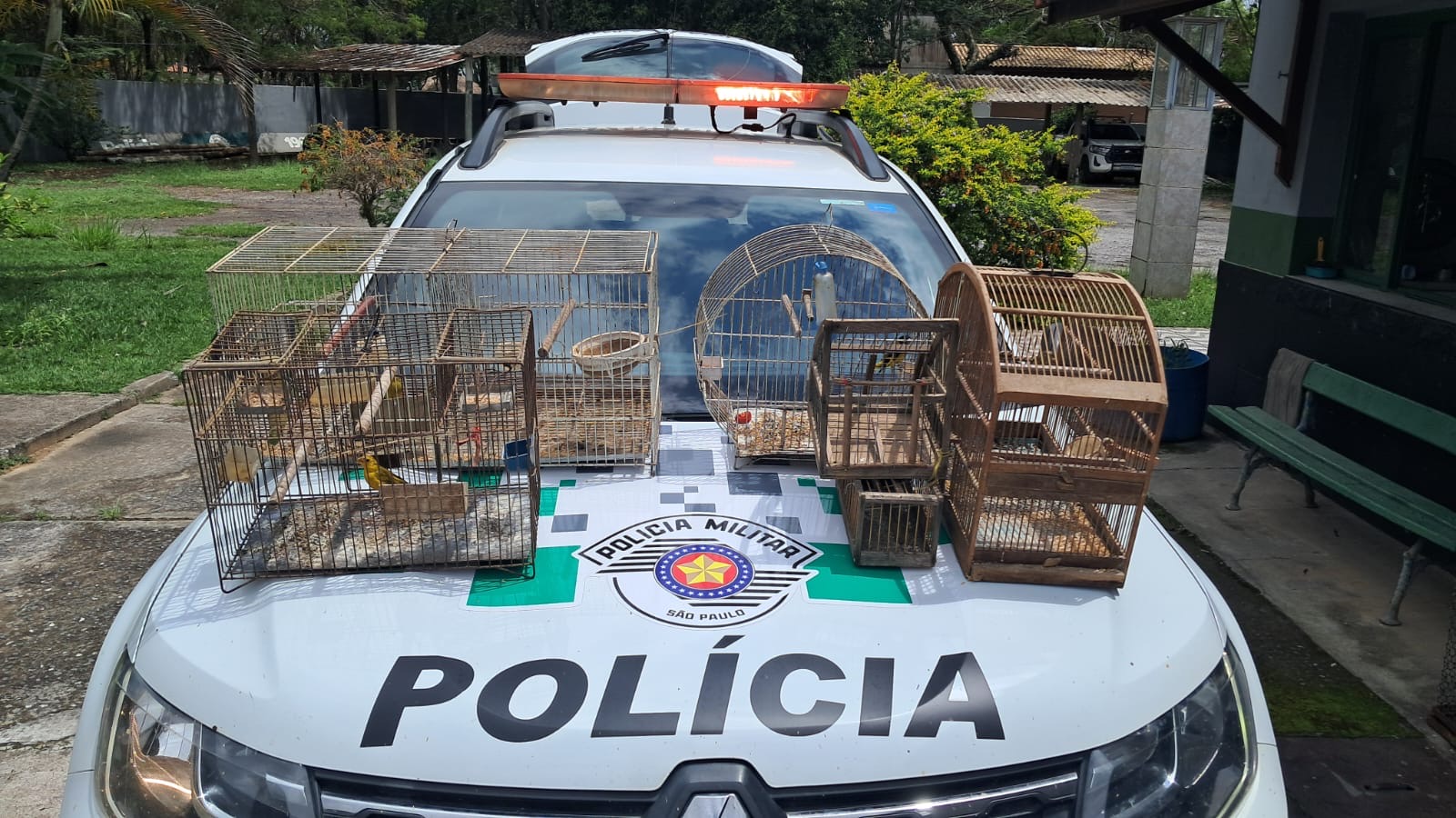 aves silvestres apreendidas em Lavrinhas